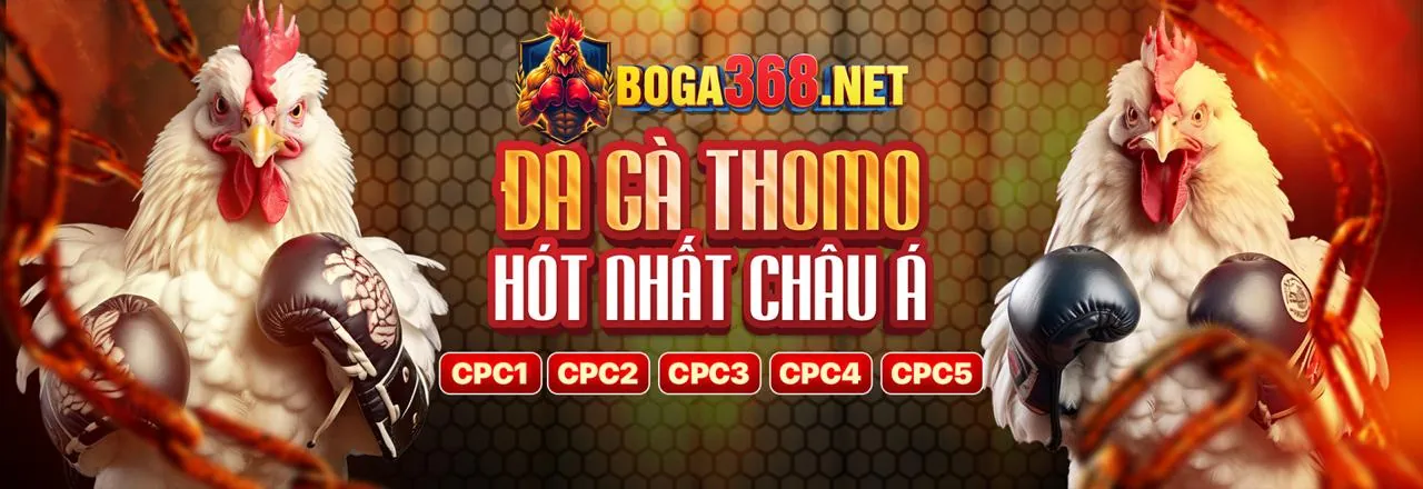 Đá gà trực tiếp kịch tính tại Tik88 Link Mới