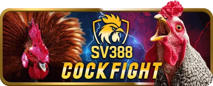 Hoàn trả thể thao và casino Tik88